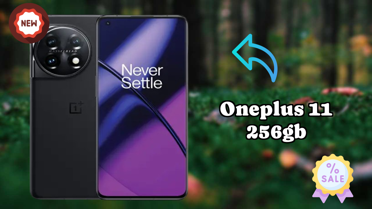 OnePlus 11 256GB Camera Quality: 50 MP + 48 MP + 32 MP Rear Camera Photo Review